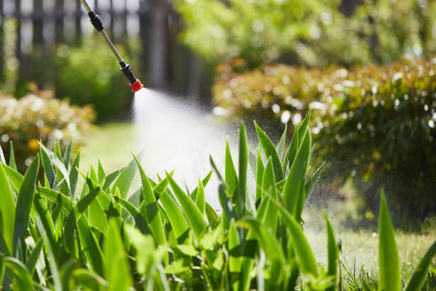 Tamper-Resistant Bait Stations for Rodents in Leesport