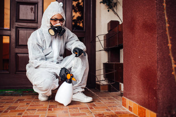Attic and Crawl Space Rodent Treatment in Leesport