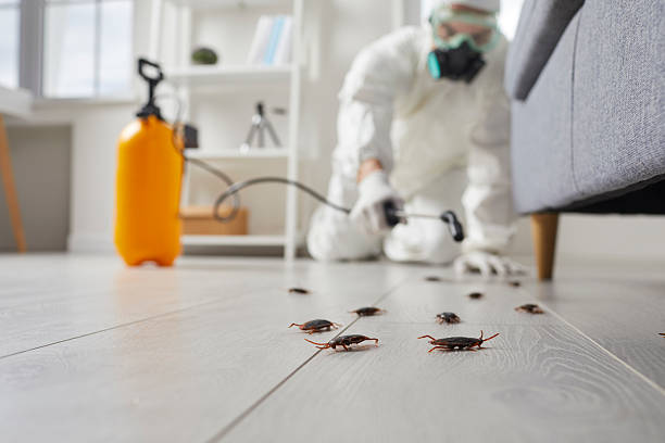 Commercial Rodent Management in Leesport